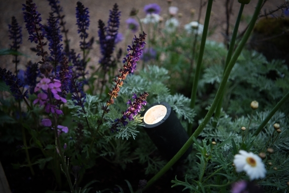 Elipta lights feature in award winning designs at RHS Chelsea Flower Show 2019!