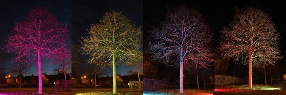 RGB Tree Lighting Guide
