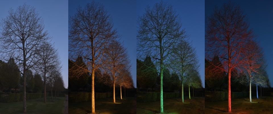 Tree lighting guide