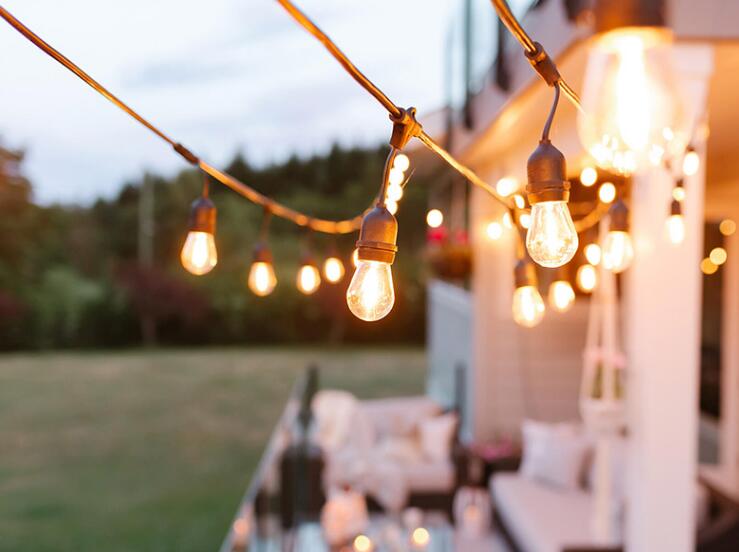 Transform Outdoor Areas with Professional Festoon Lights