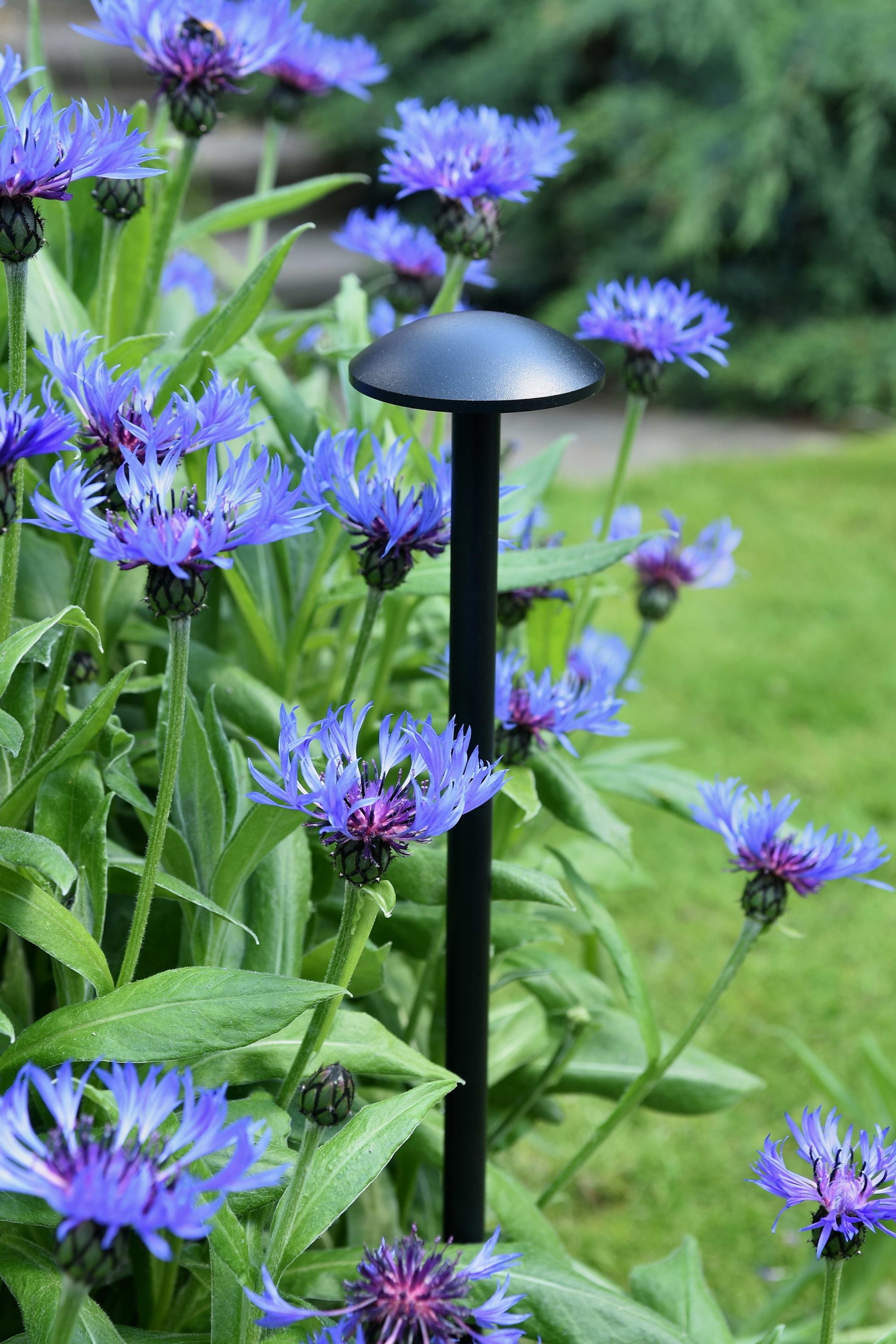 How to ensure you hire the correct landscape lighting contractor