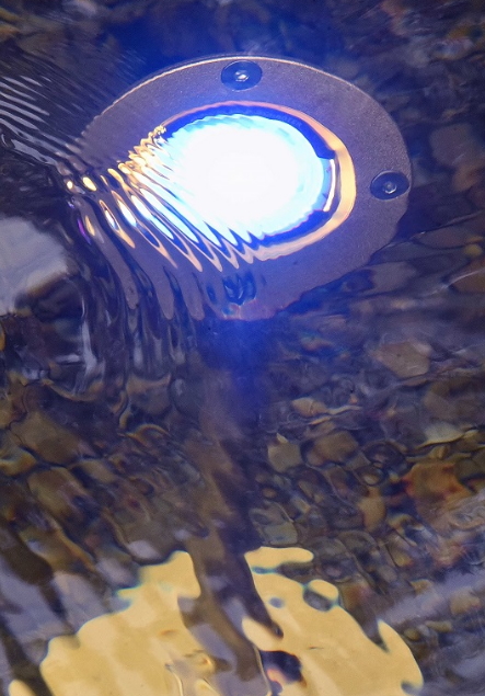 12 volt led 2025 pond lights