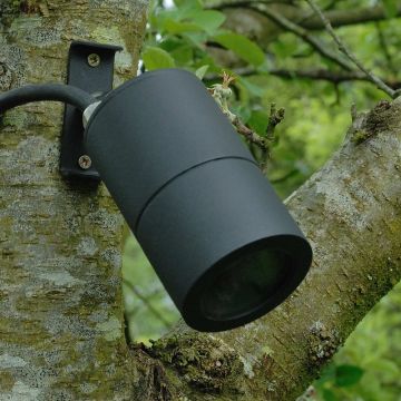 Elipta Screw-Mount Tree Spotlight MR16 - Black