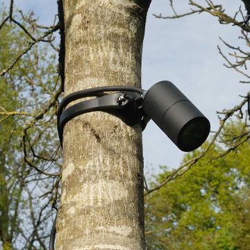 Elipta Strap-Mount Tree Spotlight MR16 -  Black