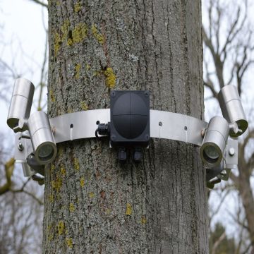 Elipta Tree Bracket (2 Halves) With Enclosures 700mm (MADE TO ORDER)