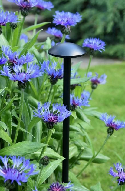 How to Light your Garden with Modern Outdoor Lighting Effects