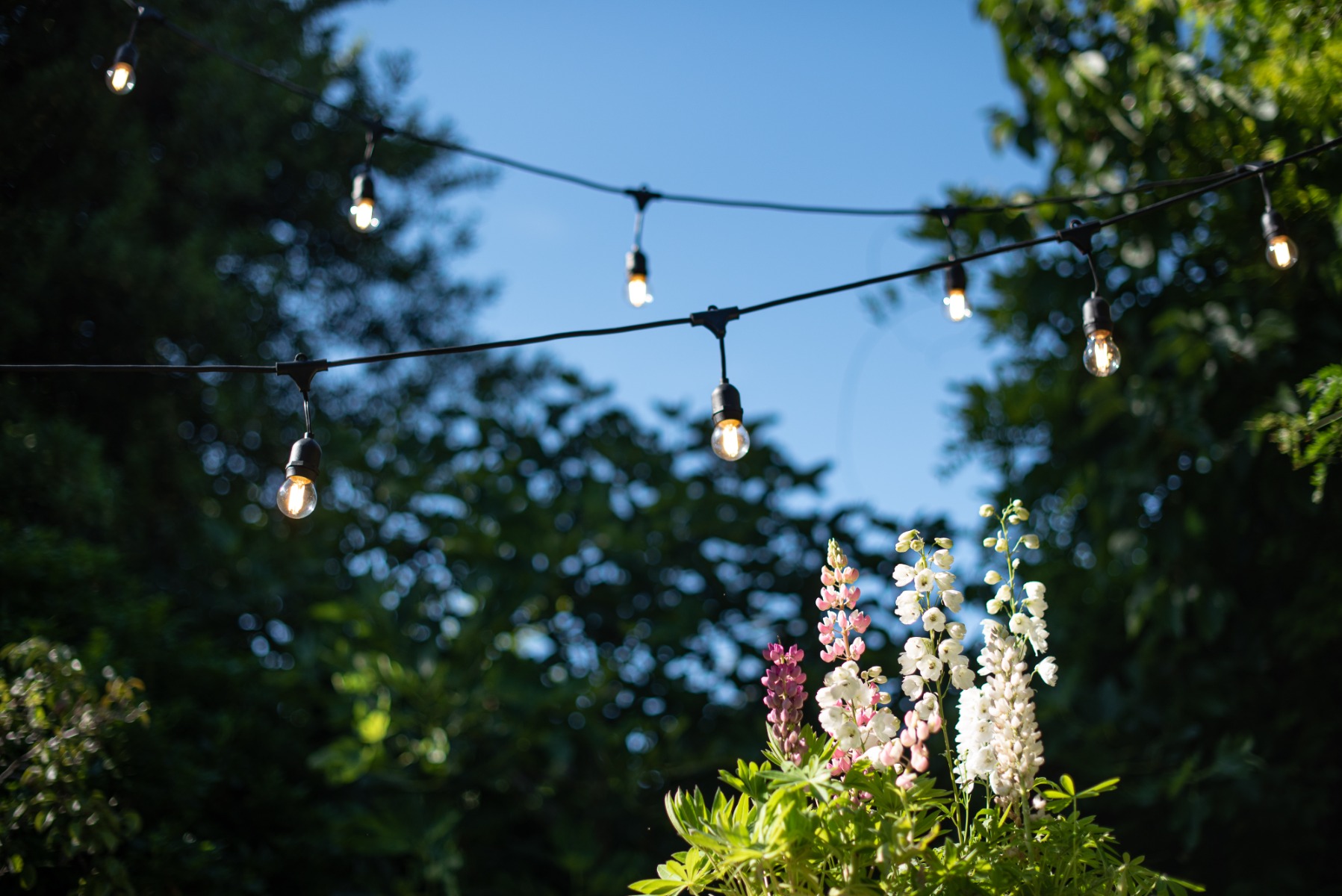 Festoon and String Lights: How to Style Any Outdoor Space