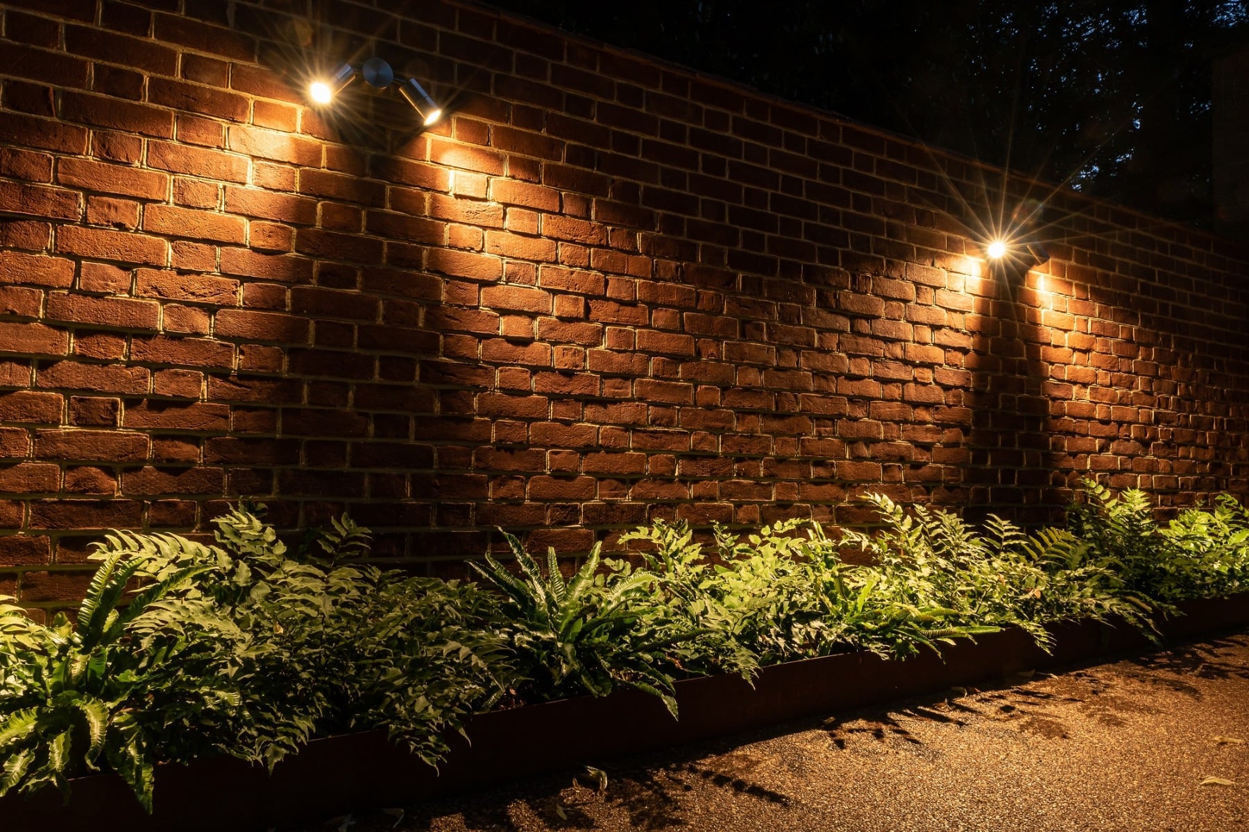 How to Light Trees & Planting Like a Professional: Techniques for Exceptional Garden Design