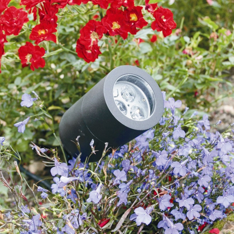 Lighting the Way: Garden Illumination Tips from Philip Milner