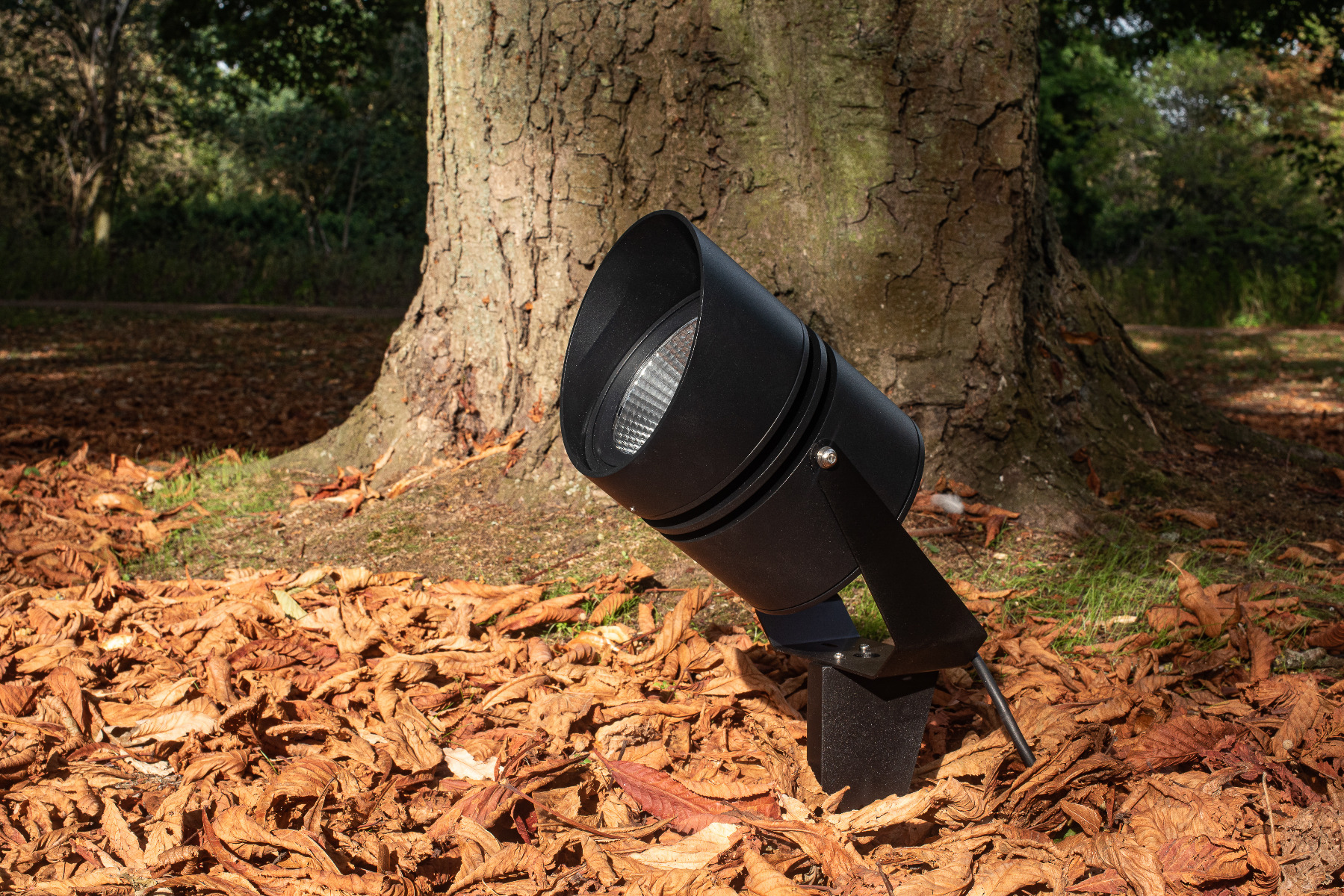 10 Autumn Checks for Outdoor Lighting